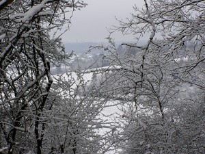 10 cm hoch lag  der Schnee am 22. und 23. März 2008 in Ansbach. Die Gefahr, dass uns das in 2014 erneut blüht, ist gering - aber die Wahrscheinlichkeit gegeben! Blick vom Finkenbuck in Schalkhausen Richtung Stadtwald. Foto: Goede