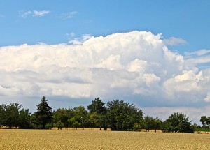 Die meisten Quellwolken waren hoch - aber nichts dahinter. Der Regen wurde im Juni 2014 in Mittelfranken zur Mangelware. Foto: Hans-Martin Goede