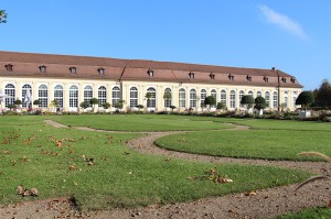 "Goldener Oktober"- Herbstgenuss 2014 im Hofgarten. Foto: Goede