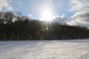 Traumhaftes Winterwetter nach kräftigen Schneefällen am 17. Januar 2016 - Foto: Goede
