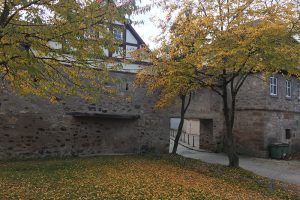 Das bunte Laub wirkte bei dem häufig bewölkten Himmel in diesem Herbst in und um Ansbach nicht unbedingt farbenprächtig. Foto: Goede