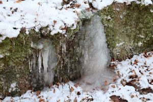 Wo immer Quellwasser aus dem Boden tritt: bei der derzeitigen Kälte gefriert es sofort zu Eis. Foto: Hans-Martin Goede, 22.01.2017