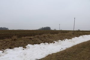 Schnee im Februar 2017 gab es nur in Form von Januar-Restschnee in Senken, Mulden wie als Schneeverwehungen, wie hier bei Weickershof nahe Unterrottmannsdorf. Foto: Goede