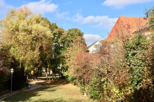 Der Abschied vom "goldenen Oktober" war in Ansbach am 26. Oktober angesagt. Foto: Hans-Martin Goede