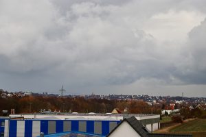 Endlich Regen! Im Dezember 2018 gab es erstmals seit dem Januar wieder "Regen satt" für die Natur. Foto: Hans-Martin Goede