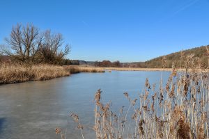 Dank der 24 „Frosttage“ mit Tiefstwerten unter null Grad hielt sich die Eisschicht auf dem Scheerweiher bei Schalkhausen bis kurz vor Monatsende - dies obwohl tagsüber die Temperaturen ab dem 14. Februar durchwegs über 10 und am Ende gar nahe 18 Grad lagen. Foto: Hans-Martin Goede