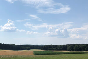 1. August 2020: Rekordhitze in Mittelfranken mit bis zu 36 Grad. Foto: Hans-Martin Goede