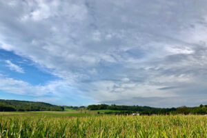 Die Front von Tief „Ottilie“ am Samstagvormittag, 5. September über dem Schönfeldwald: viele Wolken - und am Ende nur eine Handvoll Regentropfen. „Trockene Fronten" gehören seit mehreren Jahren vermehrt zum Wettergeschehen in Mittelfranken.
Foto: Hans-Martin Goede