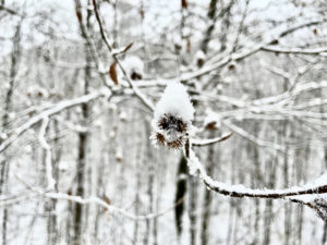 Soviel Schnee wie im Januar 2021 gab es in Ansbach seit 11 Jahren (2010) nicht mehr. Foto: GOEDE