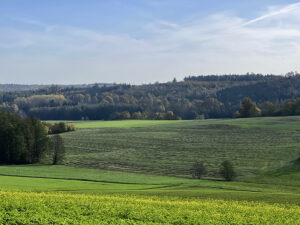 "Oktobersommer" mit 23,4°C am 30. Oktober 2022 am Schönfeldwald. Foto: Hans-Martin Goede