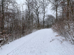 Vom 20. bis 23. Januar gab es in Mittelfranken mit 3 bis 9 cm Schnee einen "Winter light". Foto: Hans-Martin Goede