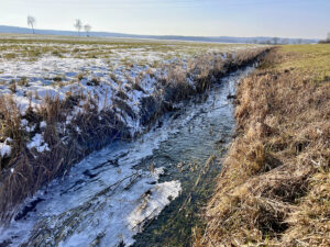 Die Sonne sorgte ab dem 8. Februar trotz eisiger Nachttemperaturen von unter minus zehn Grad rasch für ein abtauen der dünnen Schneedecke - und entsprechende Plusgrade tagsüber. Nur im Schatten sowie Böschungen konnten sich Schnee (und in Bächen dünnes Eis) halten, wie hier im Bild am 9. Februar im Altmühltal zwischen Herrieden und Stadel gesehen.
Foto: Hans-Martin Goede