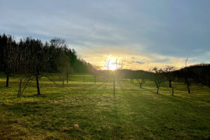 Sonnenuntergang an der Alb am 24. Januar 2025, Foto GOEDE