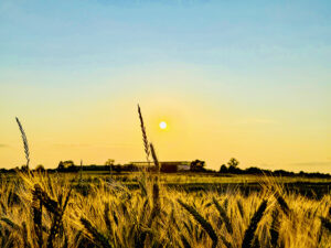 Sonnig heisser Juni 2025, Foto © Hans-Martin Goede 16.06.2025