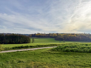 Versöhnliches Ende des Oktober 2025 mit Schleierwolken - aber bei nur kühlen 12°C. Foto Hans-Martin GOEDE