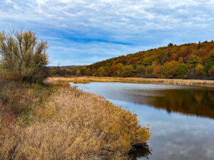Herbstimpressionen vom 1. November 2025 am Scheerweiher, Foto Hans-Martin Goede