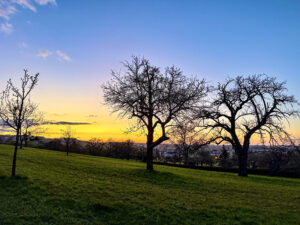 Westmittelfranken war im März 2026 die sonnigste Region in ganz Bayern. Foto (27.03.26): Hans-Martin GOEDE